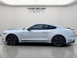 Used 2017 Ford Mustang GT Premium w/ Equipment Group 401A image 5