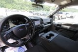Used 2019 Ford F150 XL w/ Equipment Group 101A Mid image 3