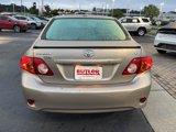 Used 2010 Toyota Corolla LE image 4