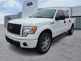 Used 2014 Ford F150 STX w/ Equipment Group 201A Mid image 2