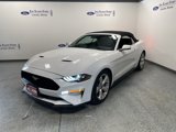 Used 2019 Ford Mustang Premium w/ Equipment Group 201A image 4