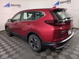 Certified 2022 Honda CR-V Special Edition image 3