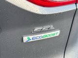 Used 2013 Ford Escape SEL image 5