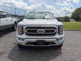 Certified 2022 Ford F150 XLT w/ Equipment Group 302A High image 2