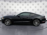 Used 2016 Ford Mustang Coupe image 2