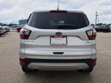 Used 2017 Ford Escape SE image 4