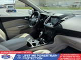 Used 2019 Ford Escape Titanium image 3