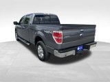 Used 2013 Ford F150 XLT w/ Luxury Equipment Group image 4
