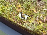 Used 2023 Chevrolet Traverse LT w/ Rear Camera Mirror Package image 4