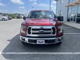 Certified 2017 Ford F150 XLT w/ Equipment Group 301A Mid image 3