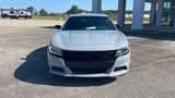 Used 2020 Dodge Charger SXT w/ Blacktop Package image 3
