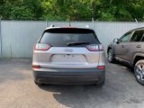 Used 2019 Jeep Cherokee Latitude Plus w/ Comfort/Convenience Group image 4