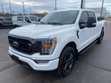 Used 2023 Ford F150 4x4 SuperCrew image 6