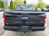 Used 2019 Ford F150 XLT w/ Equipment Group 302A Luxury image 4