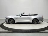 Used 2017 Ford Mustang GT Premium image 5