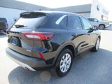 Used 2023 Ford Escape Active image 5
