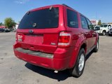 Used 2010 Ford Escape XLT image 5