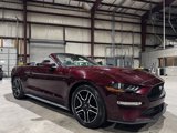 Used 2018 Ford Mustang Premium w/ Equipment Group 201A image 5