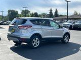 Used 2014 Ford Escape SE image 2