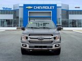 Used 2019 Ford F150 XLT w/ Equipment Group 302A Luxury image 3