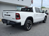 Used 2019 RAM 1500 Rebel w/ Rebel Level 1 Equipment Group image 6