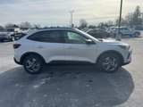 New 2025 Ford Escape ST-Line w/ Equipment Group 301A image 5