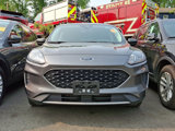 Used 2022 Ford Escape SE w/ Convenience Package image 2