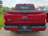 Used 2017 Ford F150 XLT w/ Equipment Group 302A Luxury image 5