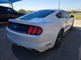 Used 2016 Ford Mustang Coupe w/ Interior & Wheel Package image 4