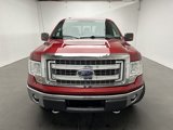 Used 2013 Ford F150 XLT w/ Luxury Equipment Group image 3