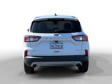 Used 2021 Ford Escape SE image 4