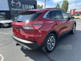 Used 2020 Ford Escape Titanium w/ Titanium Premium Package 2.0 image 5