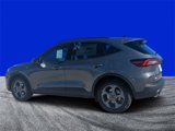 New 2025 Ford Escape ST-Line w/ Tech Pack #1 image 5