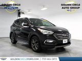 Used 2017 Hyundai Santa Fe Sport image 1