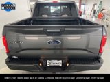 Used 2016 Ford F150 XLT w/ Equipment Group 302A Luxury image 6
