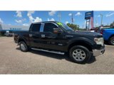Used 2014 Ford F150 XLT w/ Equipment Group 302A Luxury image 3