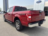 Used 2020 Ford F150 XLT w/ Equipment Group 302A Luxury image 5