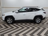 Used 2024 Hyundai Tucson SEL image 3