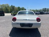Used 2005 Ford Thunderbird 50th Anniversary image 4