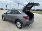 Used 2024 Ford Escape Active w/ Tech Pack #1 image 4