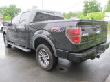 Used 2012 Ford F150 FX4 w/ FX Luxury Pkg image 3