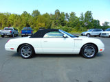 Used 2003 Ford Thunderbird Deluxe image 2