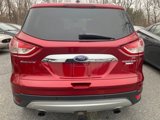 Used 2014 Ford Escape Titanium image 5