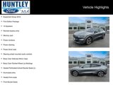 Used 2021 Ford Mustang Mach-E Premium w/ Equipment Group 301A image 2