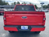 Used 2023 Ford F150 XLT w/ Equipment Group 302A High image 4