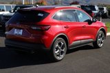 New 2025 Ford Escape ST-Line w/ Tech Pack #1 image 6