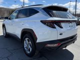 Used 2022 Hyundai Tucson SEL w/ Cargo Package image 4