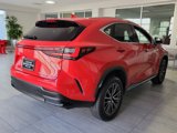 Used 2022 Lexus NX 350 AWD w/ Premium Package image 6