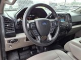 Used 2015 Ford F150 XL w/ Equipment Group 101A Mid image 3