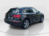 Used 2019 Audi Q5 2.0T Premium Plus w/ Premium Plus Package image 5